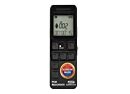 Sound Recorder PLUS